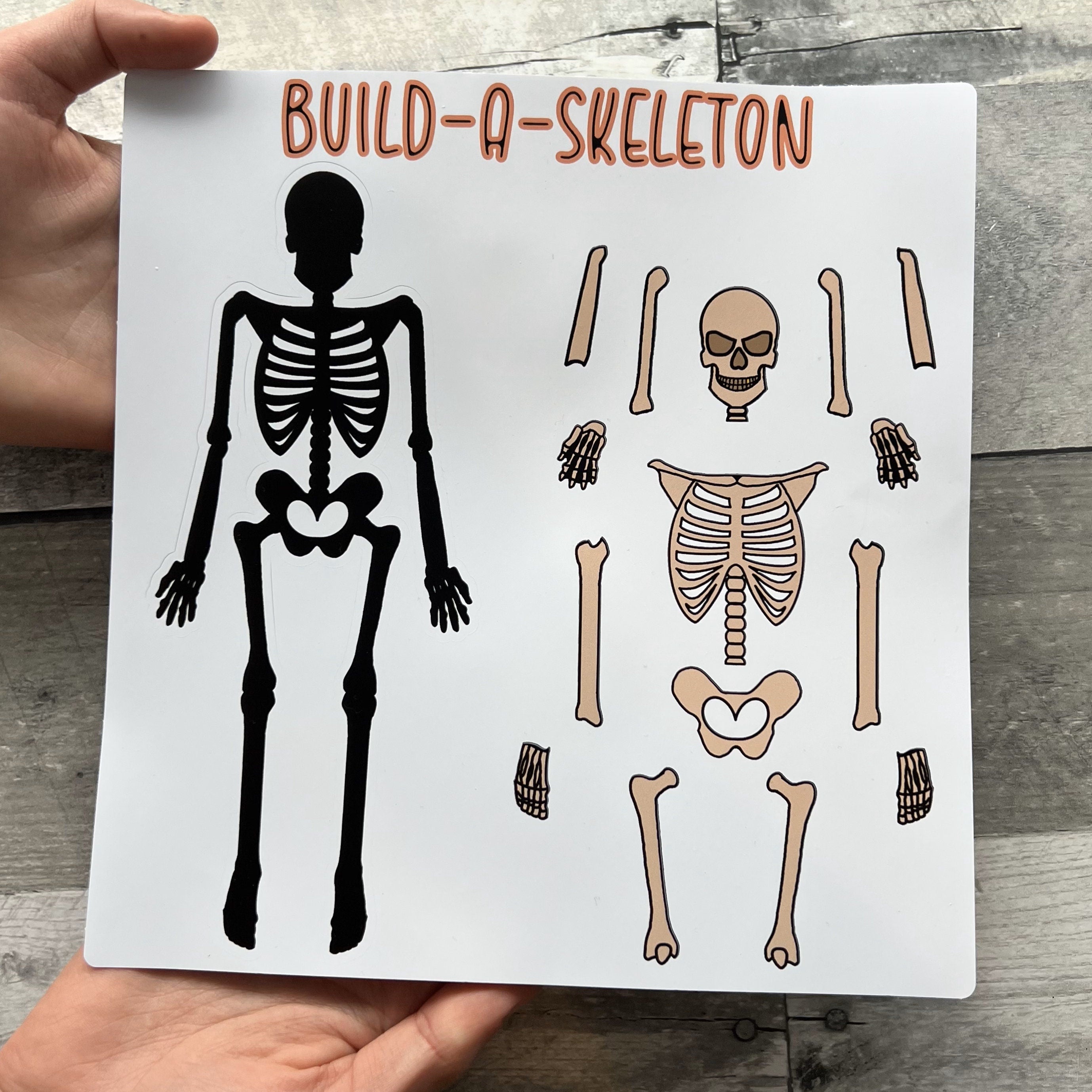 Build A Skeleton Sticker