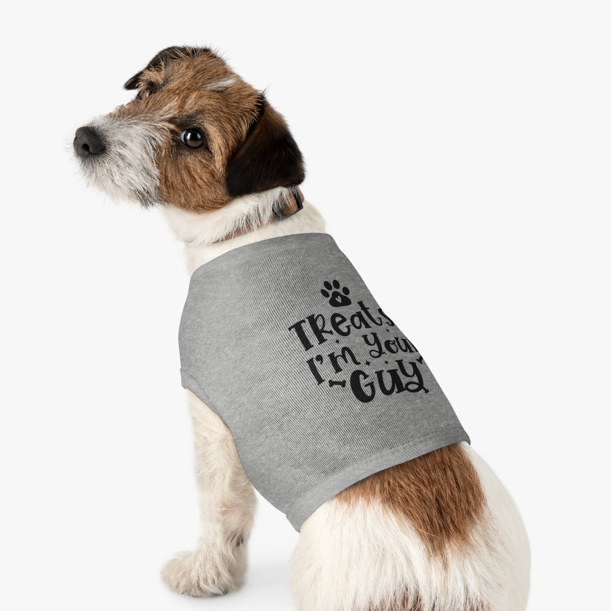Treats? I'm Your Guy Pet Tank Top