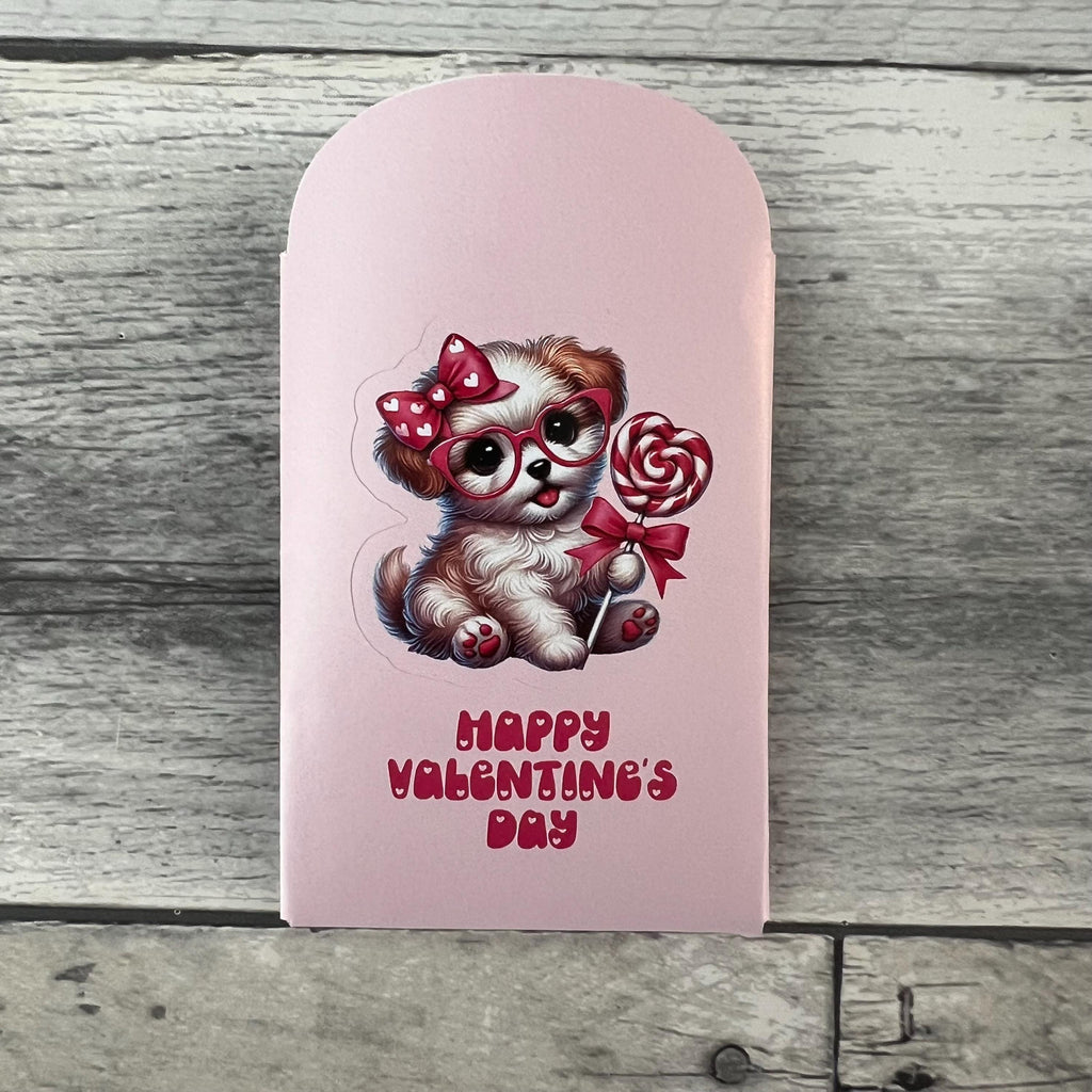 Cute Animal Valentine Envelopes (Set of 10) *candy NOT included*
