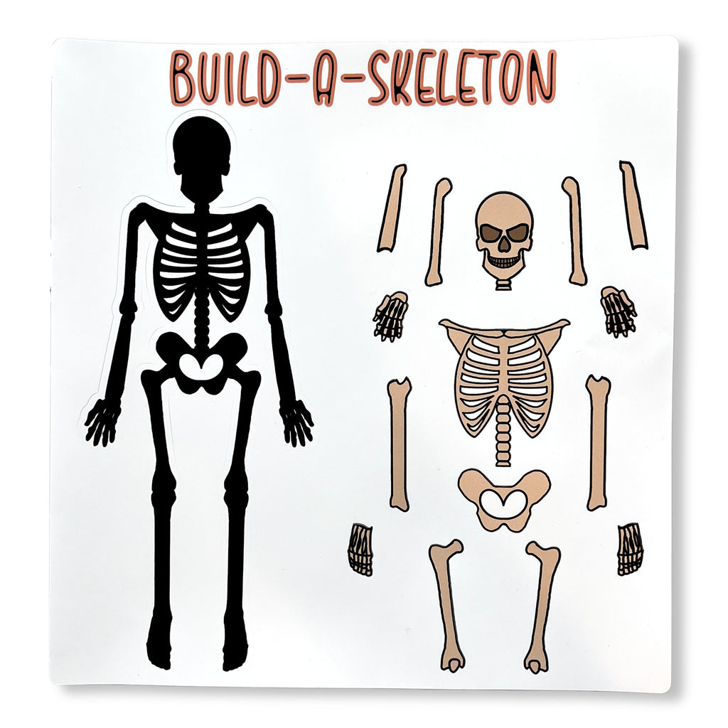 Build A Skeleton Sticker