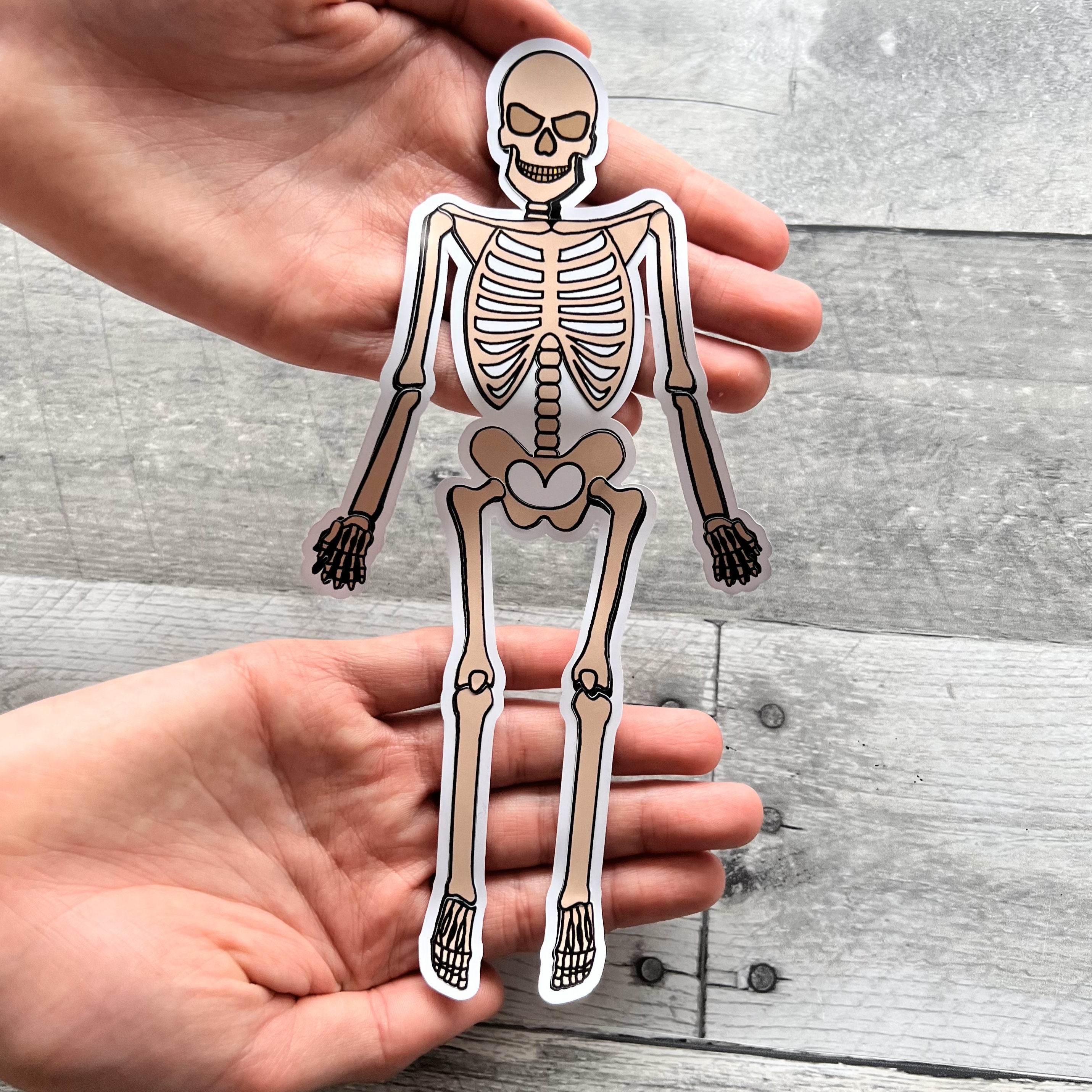 Build A Skeleton Sticker